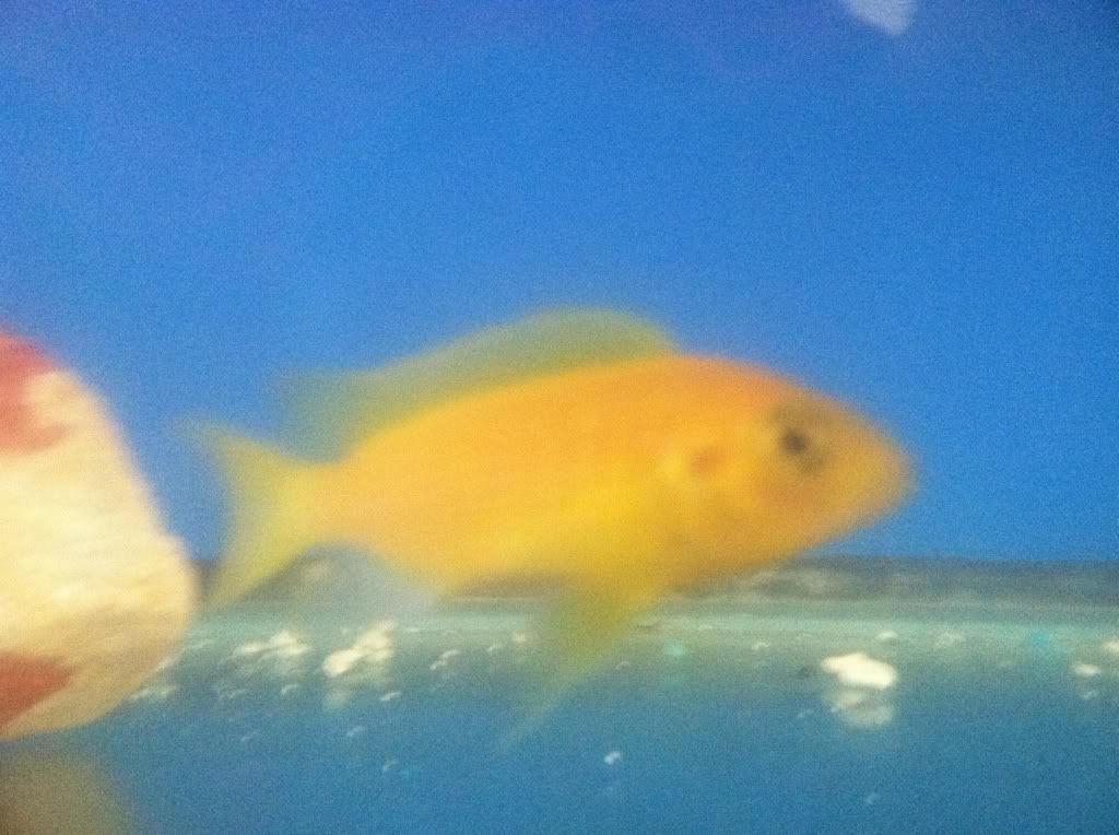6df88757.jpg