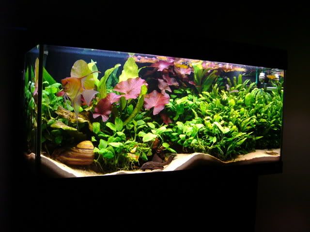 IMAG0069.jpg