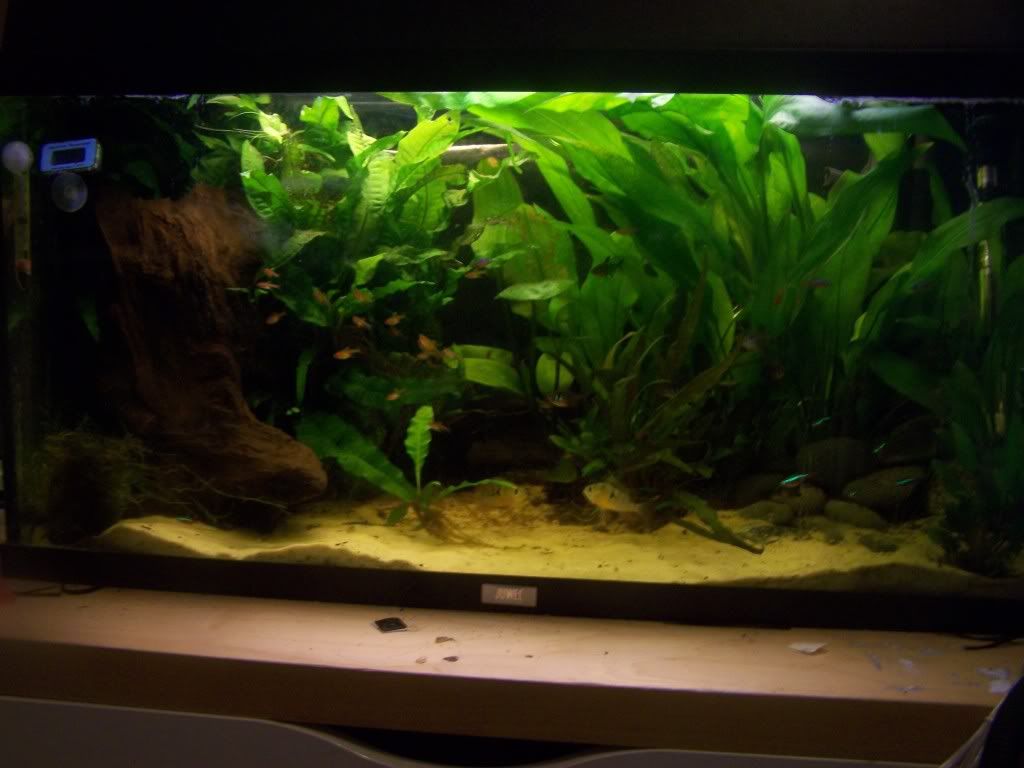 100_1537.jpg