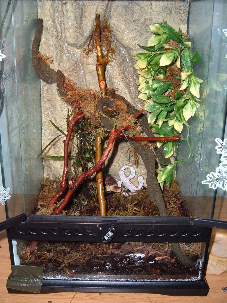 DSCF2524.jpg