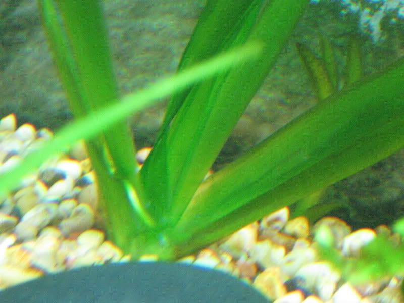 IMG_2115.jpg