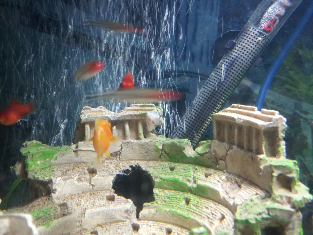 2012-02-29161630.jpg
