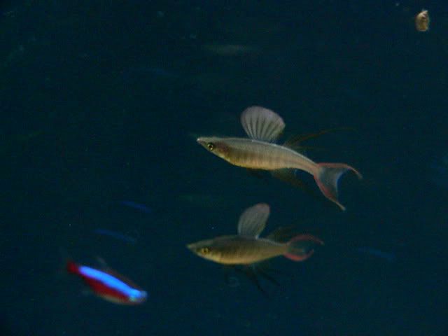 P1070122.jpg