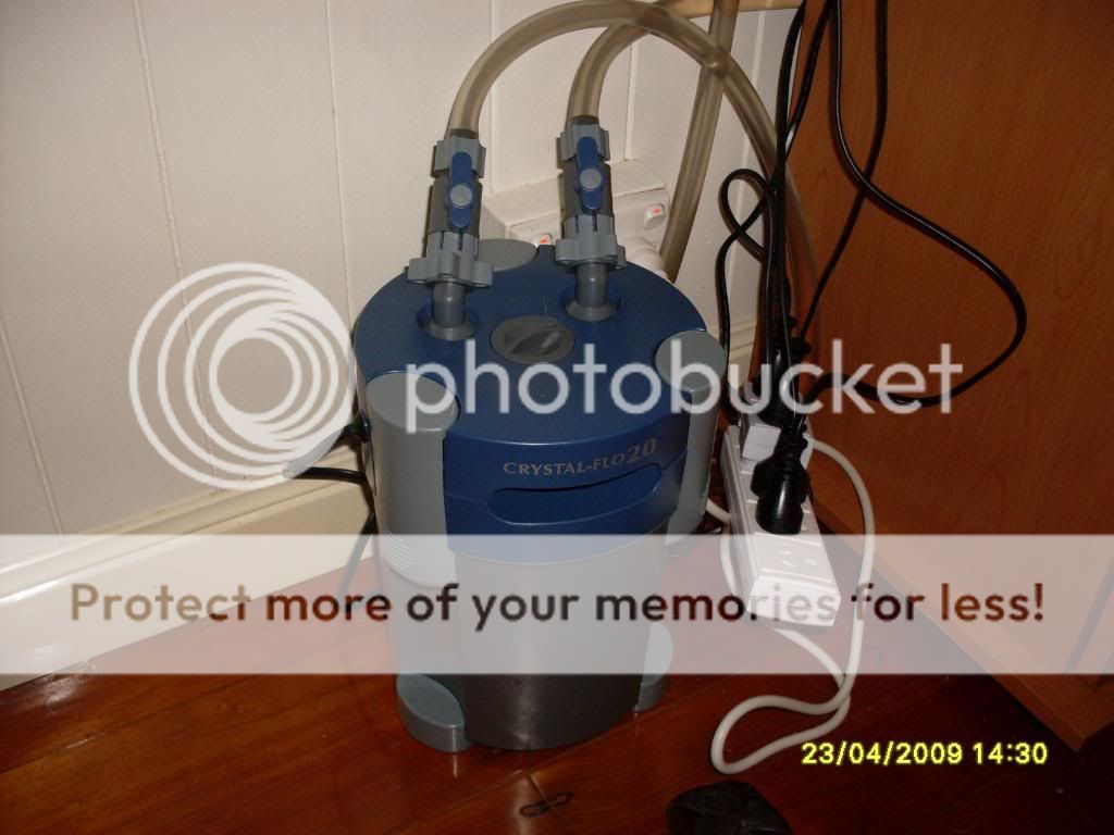 myfishtank40g008.jpg
