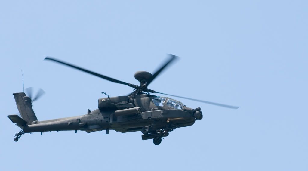 DSC_8636.jpg