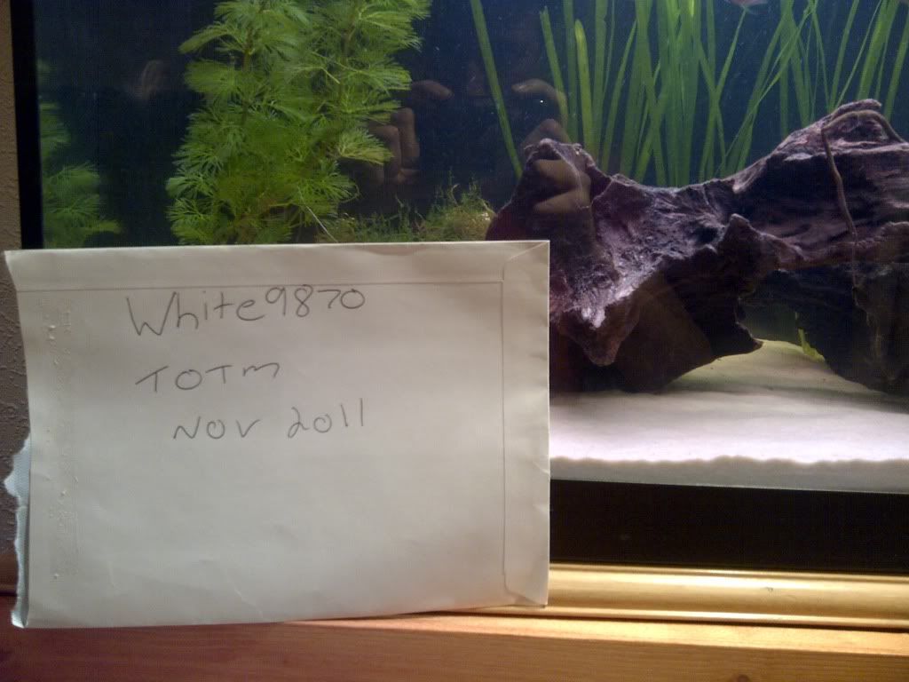 utf-8BSU1HLTIwMTExMTAzLTAwMTIyLmpwZw.jpg
