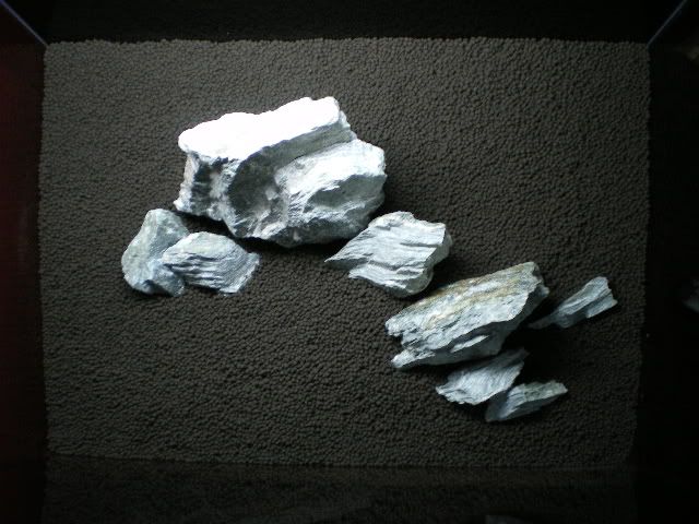IMGP1030.jpg