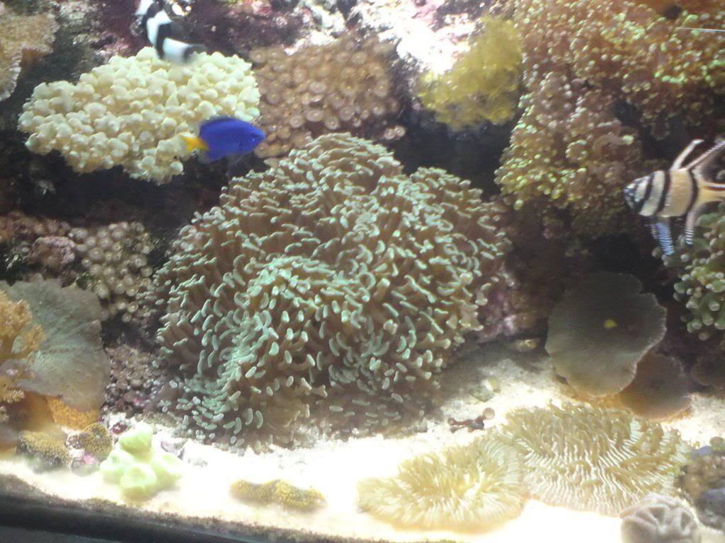 DSC00005-1.jpg