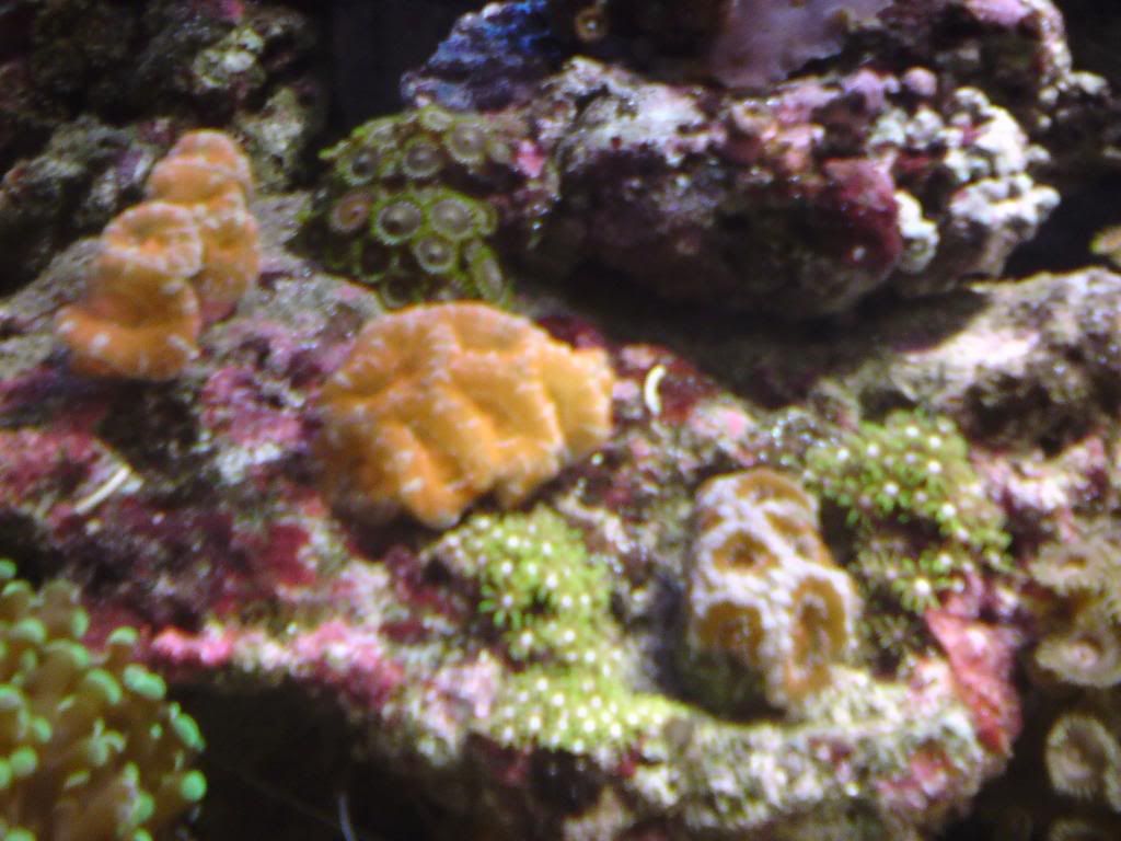 CopyofDSC00023.jpg
