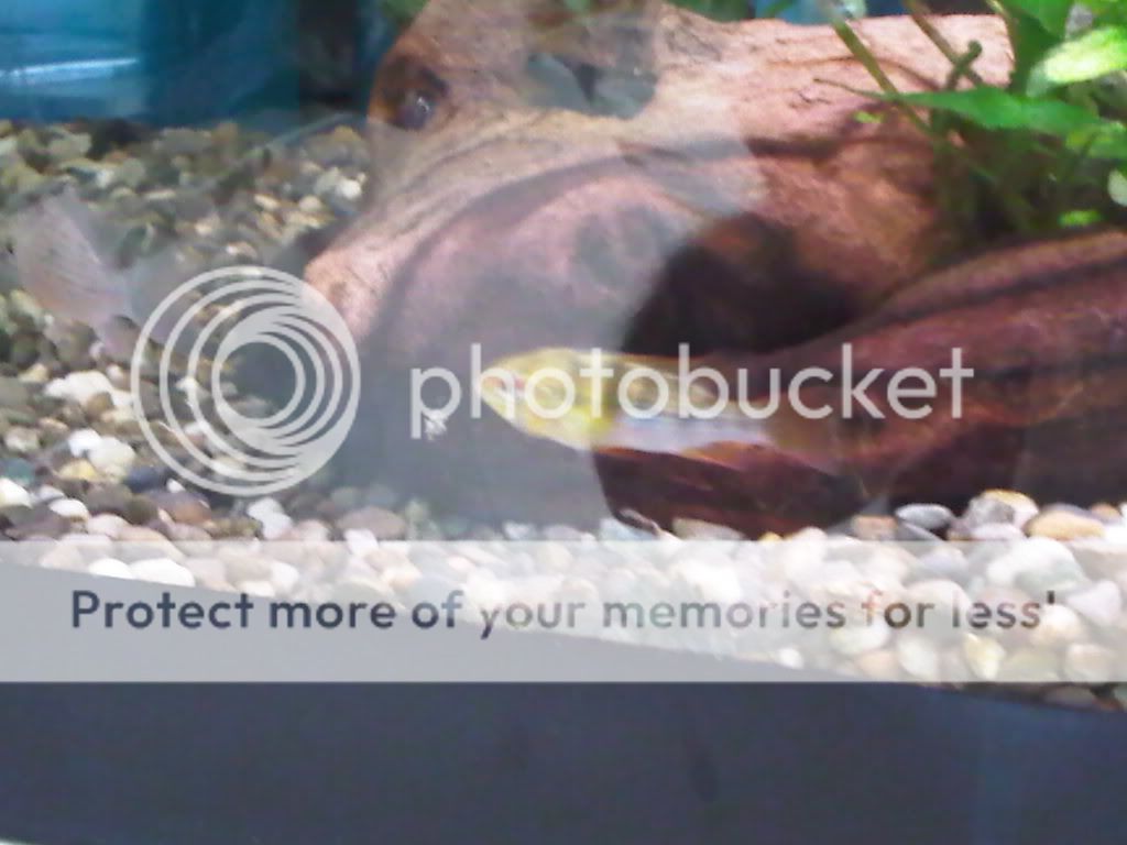 IMG00010-20090905-1314.jpg