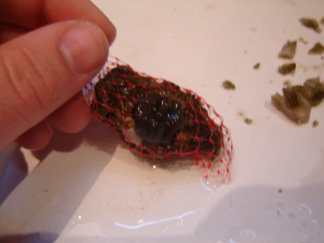 DSC05802.jpg