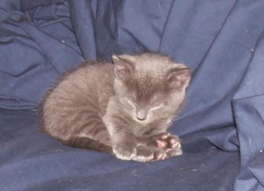 socute.jpg