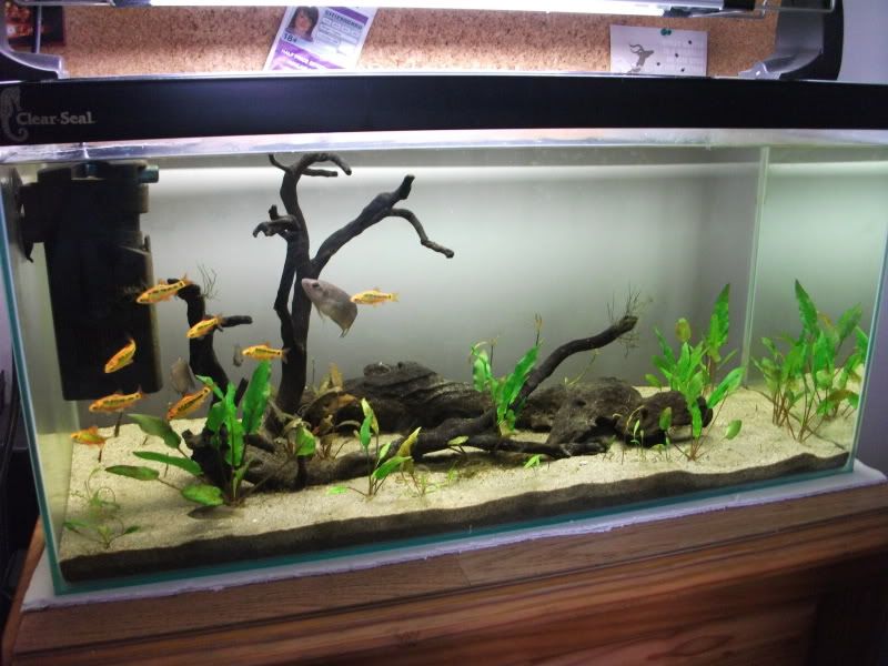 fishetc009.jpg