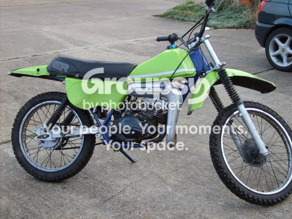 willow002.jpg
