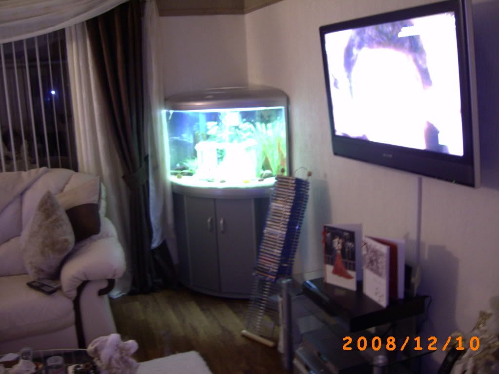 PICT0008-1.jpg