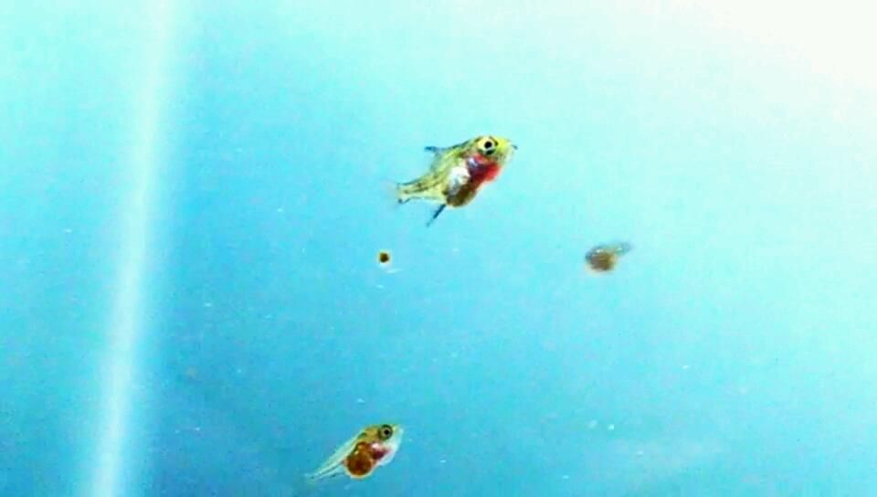 VIDEO0180_0000276750.jpg