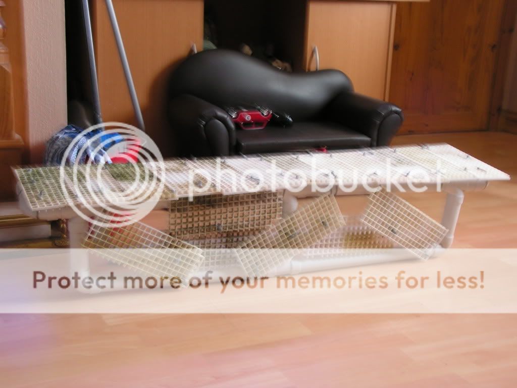 frame3.jpg