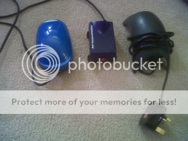 IMG00255-20111028-1524.jpg
