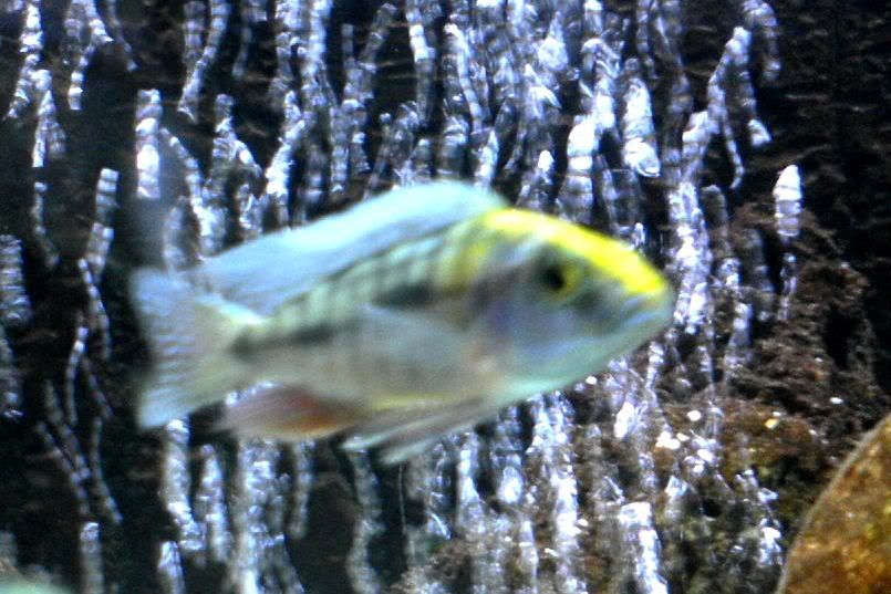 DSC00011.jpg