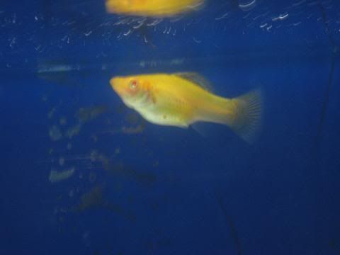 IMG_4951.jpg