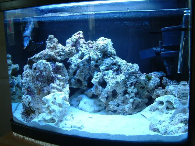 DSCF0097.jpg