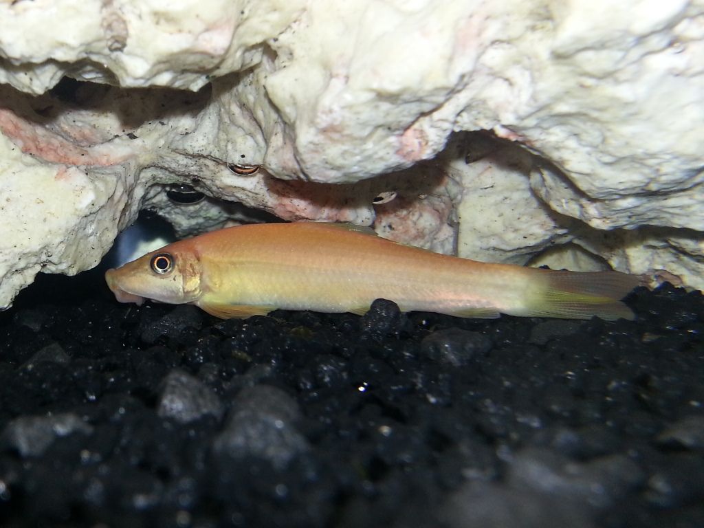20120805_221545.jpg