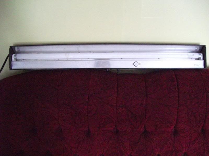 DSCF0381.jpg