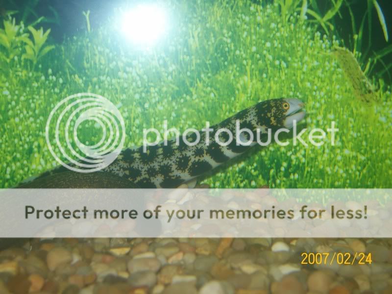 Picture706.jpg