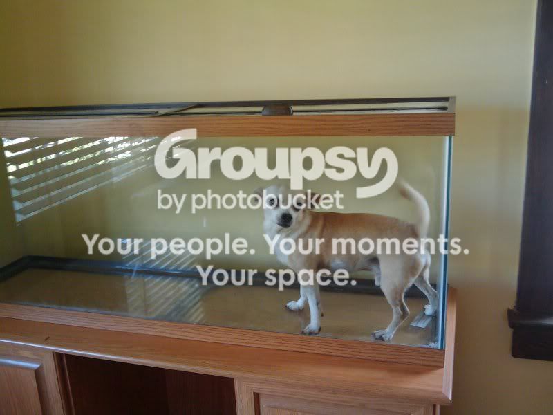 2009-08-21164454.jpg