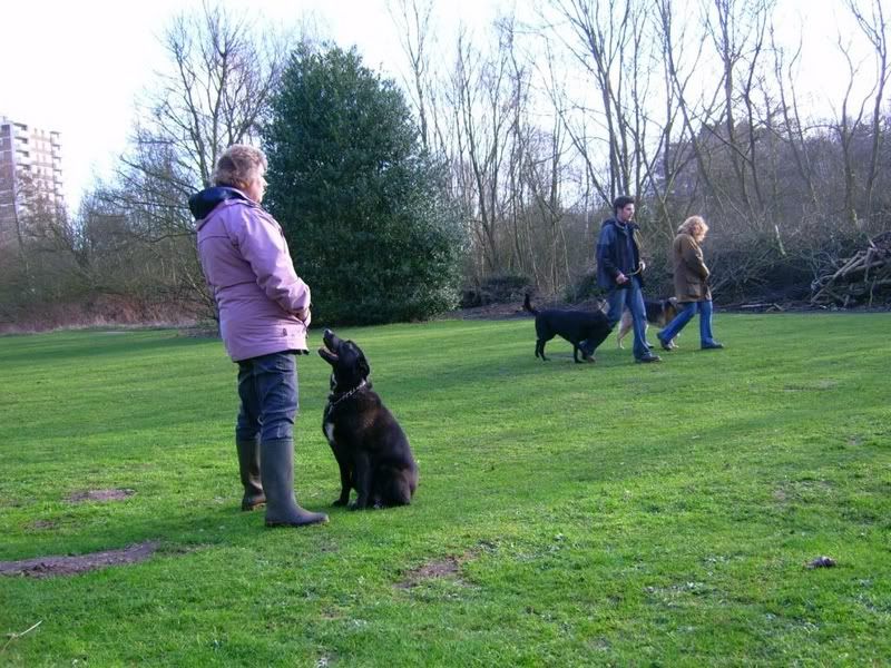 training5.jpg