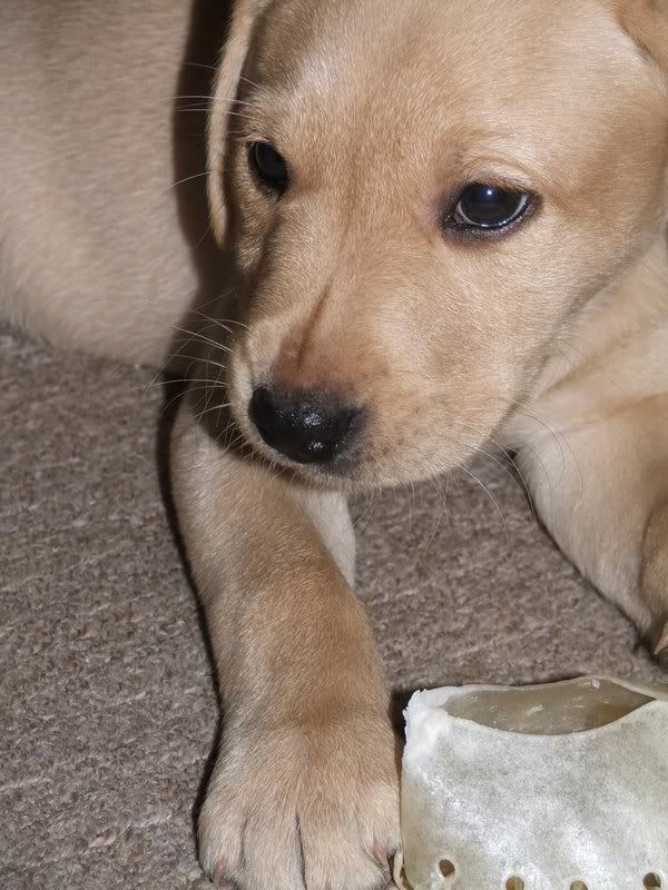 December2006018.jpg