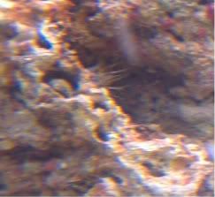 73950497-1.jpg