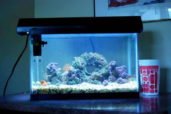 Aquarium_Additions_3_by_MadCatter.jpg