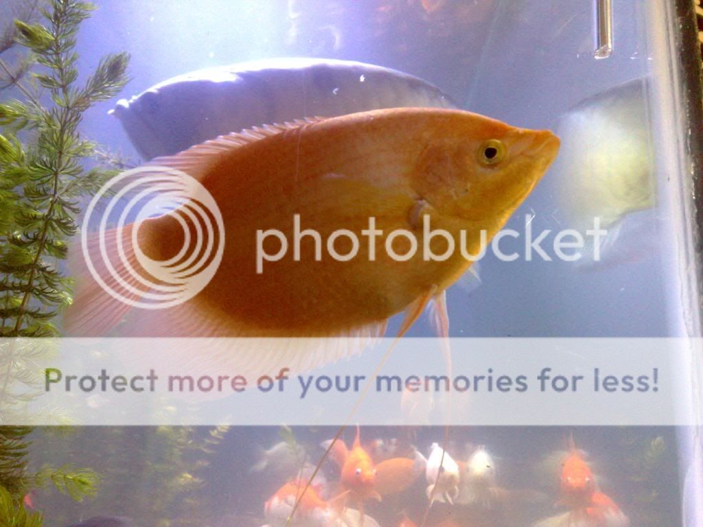 20042009169.jpg