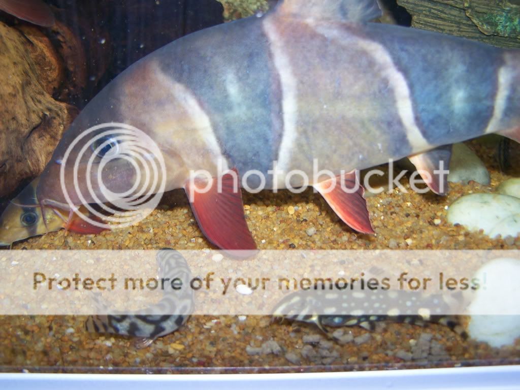 100_6042.jpg