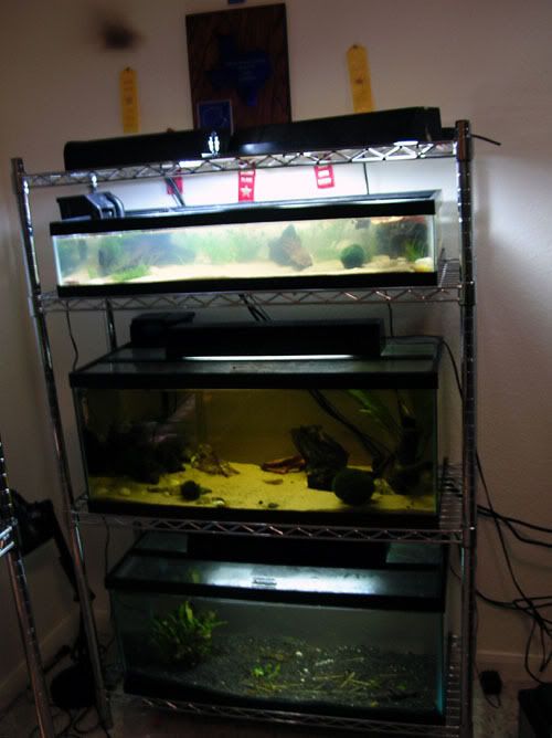 DSCN6636.jpg