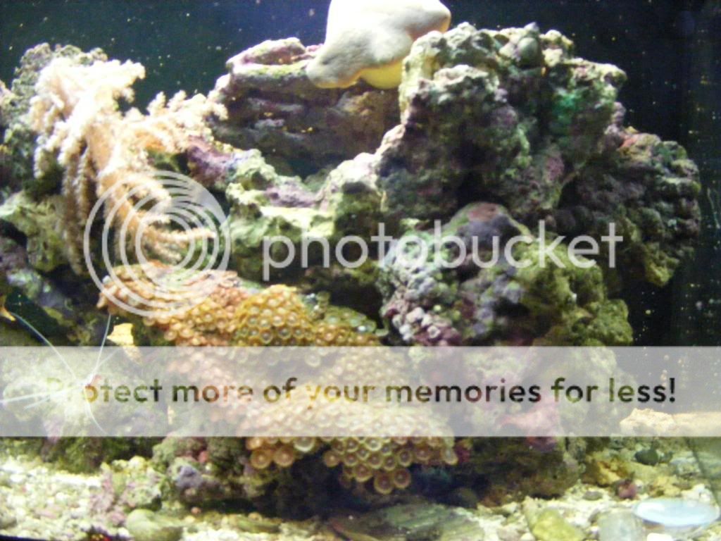 DSCF2781.jpg