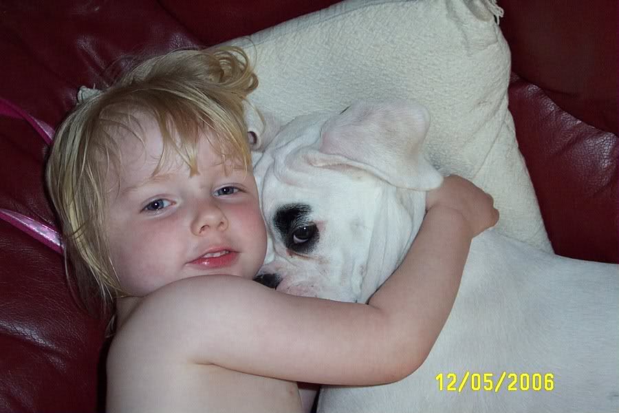 Picture231.jpg