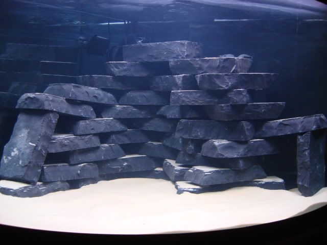 DSC02379.jpg