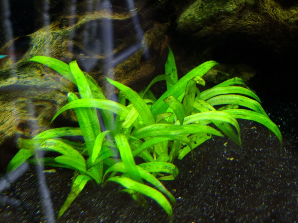DSCF4059.jpg