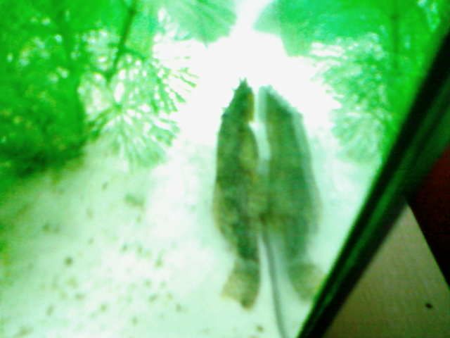 SP_A0310.jpg