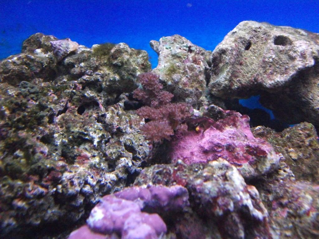 DSCF0627.jpg