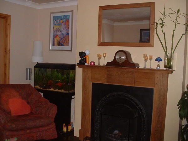 Picture1194.jpg