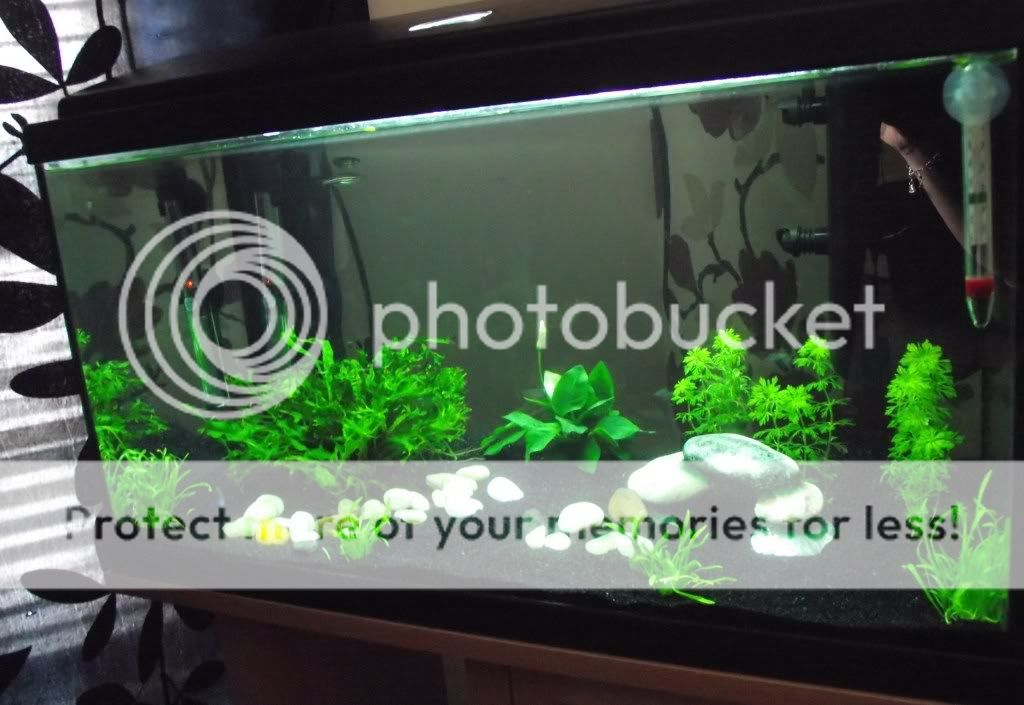 DSCF7638.jpg