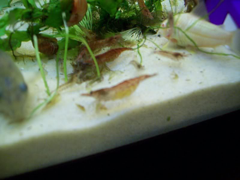 100_0246.jpg