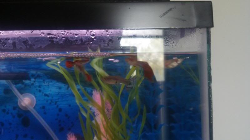 2013-04-06_13-35-08_129.jpg