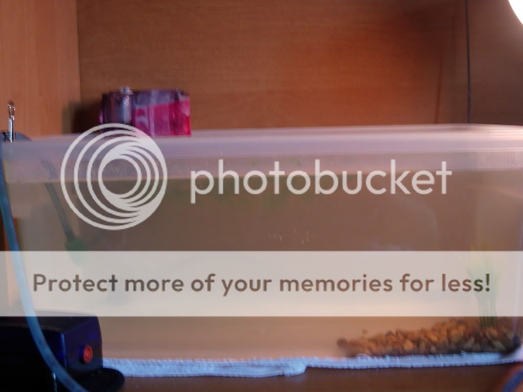 DSCN3725.jpg