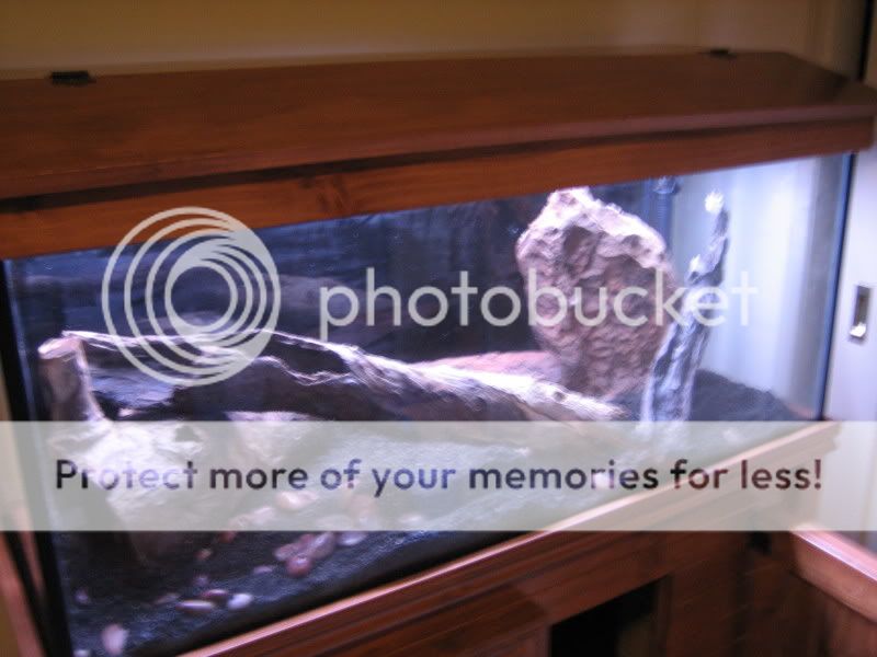 newtank037.jpg
