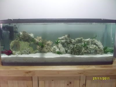 Fullview.jpg