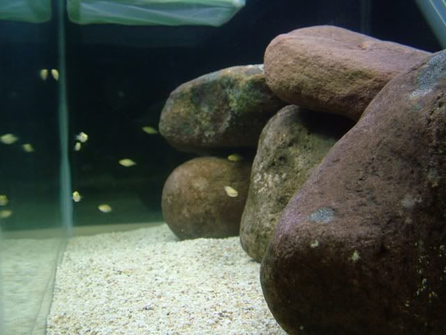 DSCF2348.jpg